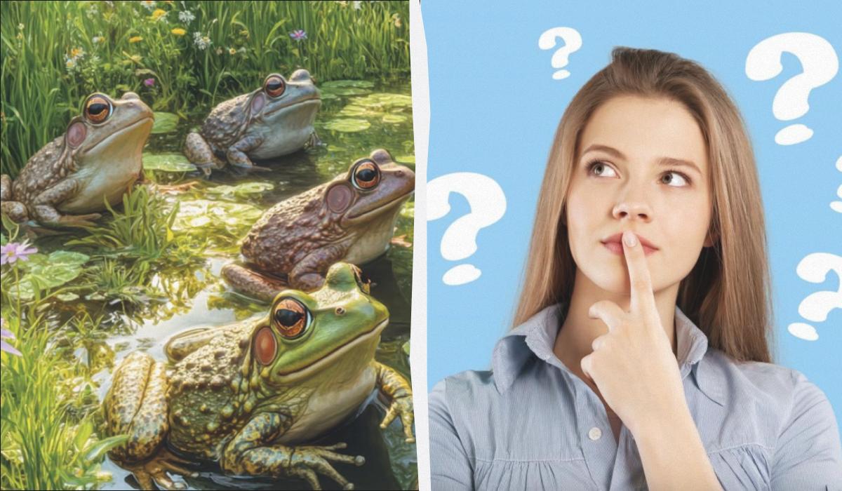 Найдите чудака среди лягушек в пруду / коллаж УНИАН, ua.depositphotos.com Найдите чудака среди лягушек в пруду / коллаж УНИАН, ua.depositphotos.com