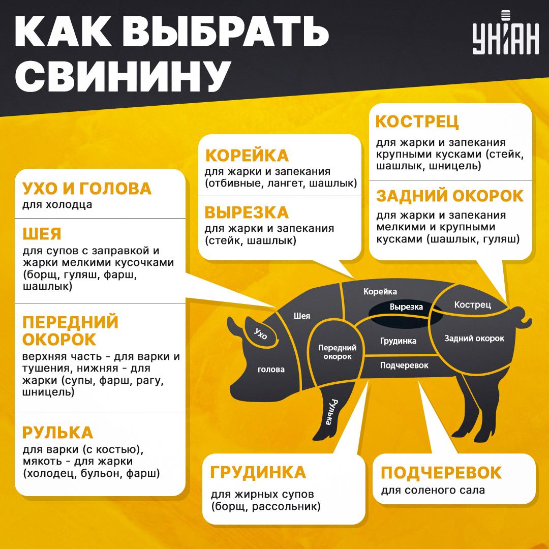 Какая свинина для каких блюд походит / коллаж УНИАН Какая свинина для каких блюд походит / коллаж УНИАН