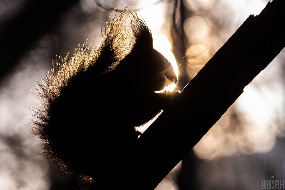 26 февраля в Киеве будет "плюс" / фото УНИАН