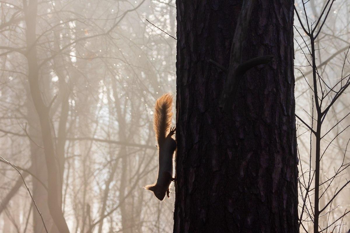 У Харкові терміново оголосили І рівень небезпеки: що сталося (інфографіка)