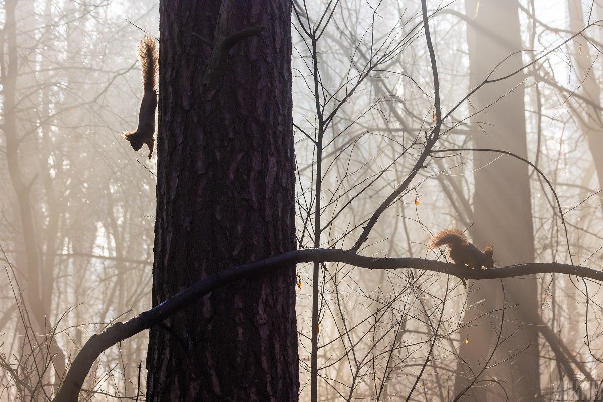 фото УНІАН фото УНІАН