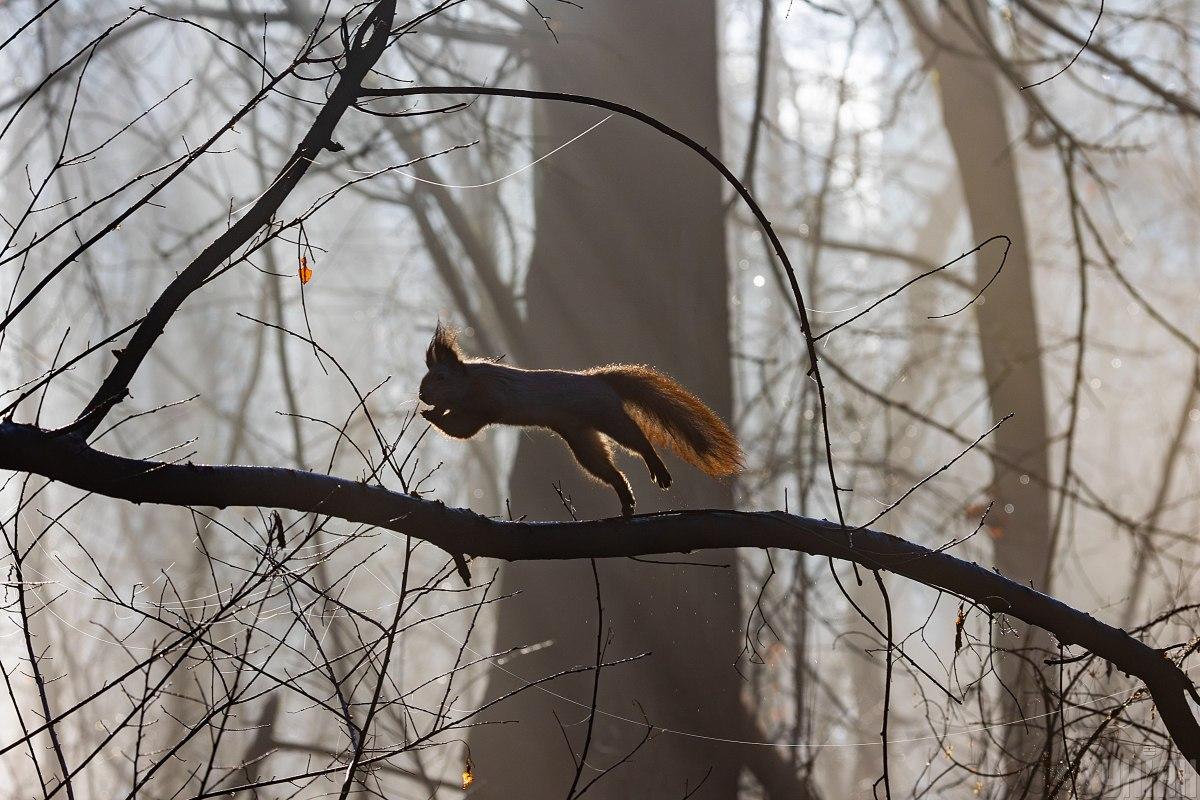 В декабре будет преобладать теплая погода с плюсовыми температурами / фото УНИАН В декабре будет преобладать теплая погода с плюсовыми температурами / фото УНИАН