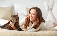 Могут этого даже не показывать: ученые выяснили, как коты понимают, кто их хозяин