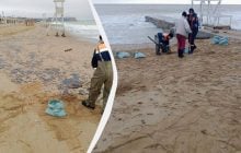 Шлейфы на 100 км: эколог предупредил о сильном отравлении моря из-за танкеров "Волгонефти"