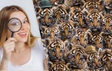 Усі бачать тигрів, а потрібно знайти трьох кошенят за 12 секунд: напрочуд складна головоломка