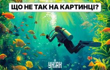 На цій картинці є груба помилка: тільки люди з високим IQ зрозуміють що не так