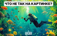 На этой картинке есть грубая ошибка: только люди с высоким IQ поймут что не так