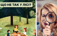 Треба знайти помилку в лісі за 5 секунд: швидкий тест для перевірки IQ