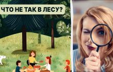 Надо найти ошибку в лесу за 5 секунд: быстрый тест для проверки IQ
