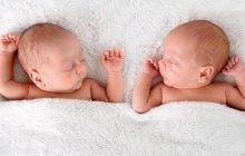 60 млн років тому наші предки народжували переважно близнюків: приголомшливе відкриття