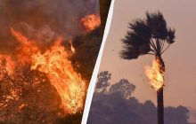 Вогонь знищує престижний район Лос-Анджелеса: оголошено евакуацію (відео)