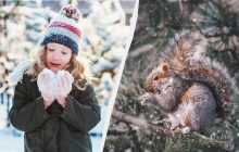 Праздник 13 января 2025: что отмечают в мире и в Украине, запреты и традиции