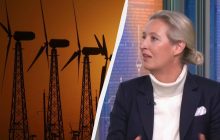 "Снести все ветрогенераторы": немецкие ультраправые пообещали запустить "Северный поток"