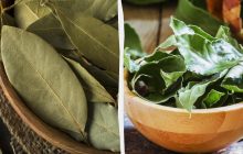 Зачем добавлять лавровый лист: эксперты объяснили, почему специю некоторые недооценивают