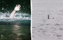 Крокодилы научились имитировать тонущего человека, заманивая "спасателей" на верную смерть