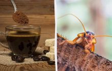 У меленій каві можуть бути таргани: лікар пояснив, як люди можуть це "відчути"