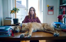 "Народ VS Космо": цікаві факти про добру комедію, головний герой якої виграв приз "собачих" Канн