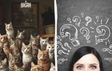 Треба знайти собаку серед котів за 7 секунд: напрочуд складна оптична ілюзія