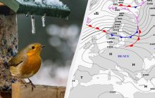 Почти всю Европу накроет антициклон: синоптик сообщила, какая погода будет в Украине