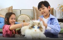 Может мурлыкать, спать и играть: в Китае создали первого в мире робота-кота (видео)
