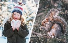 Что отмечаем 19 января 2025: праздники в Украине и в мире, что запрещено делать