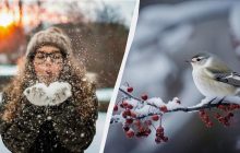 Какой праздник 20 января 2025 в Украине и в мире: главные запреты и традиции