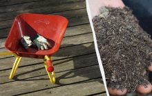 Это нужно сделать с растениями на грядках, если нет снега: иначе саженцы не переживут зиму