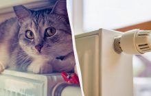 В квартире будет в 2 раза теплее, а счета за отопление меньше: вот как это сделать