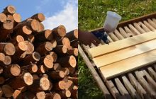 Доски годами не будут гнить, даже если на улице сыро: вот чем нужно их обработать