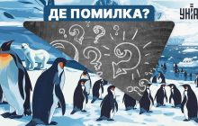 Потрібен високий IQ, щоб знайти помилку на зображенні за 5 секунд: складний тест