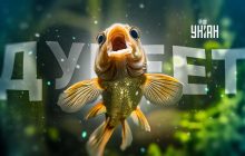 "Я дурею с этой прикормки": что значит популярный мем, который разорвал сеть