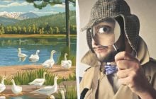 Невероятный вызов для мозга: надо найти 2 лебедей среди гусей за 10 секунд