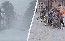 Пальмы в снегу: жемчужину американских субтропиков накрыл мощный снегопад (видео)