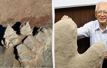 Більше, ніж у тиранозавра: у Монголії виявили найбільші сліди качкодзьобого динозавра