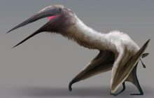 У Канаді знайшли скам'янілість величезного летючого динозавра, якого вкусив крокодил