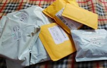 Пендзин советует законодателям вместо налога на посылки вывести из тени схемы на таможне