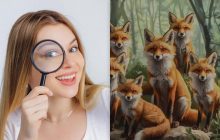 Усі бачать лисиць, а треба знайти 2 білок за 8 секунд: напрочуд складна головоломка