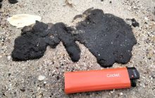 Аварія танкерів РФ у Чорному морі: мазут дістався узбережжя Одещини (відео)