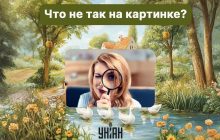 Надо найти грубую ошибку на картинке за 5 секунд: быстрый тест для проверки IQ