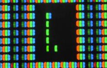 Програміст зробив найменшу версію "Змійки", для гри знадобиться мікроскоп