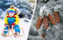 Женщинам сегодня можно делать всё, кроме одного: важные приметы, праздники и запреты дня