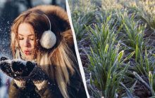 Яка небезпека загрожує всім 31 січня: свято сьогодні, звичаї та прикмети