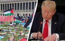 Трамп готовит указ о депортации участников митингов в поддержку ХАМАС, - NYP