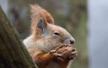 Еще немного тепла, а потом - похолодание: известный синоптик предупредила об изменении погоды