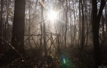 В Украине объявлен I уровень опасности: какие области затронет (карта)