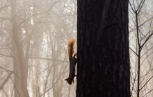 На этой неделе погода в Украине начнет меняться: к чему готовиться