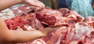 Какой кусок мяса самый дешевый и самый вкусный: что лучше брать вместо вырезки и филе