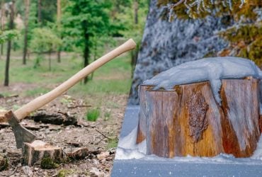 Можно ли удалить пень на участке: садоводы сделали серьезное предупреждение