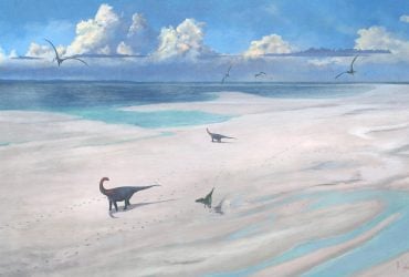 В Великобритании нашли шоссе динозавров: чем важно это открытие