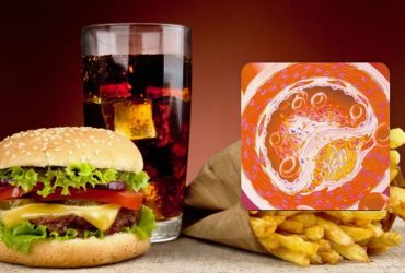 Що категорично не можна їсти за підвищеного холестерину: топ-10 найгірших продуктів